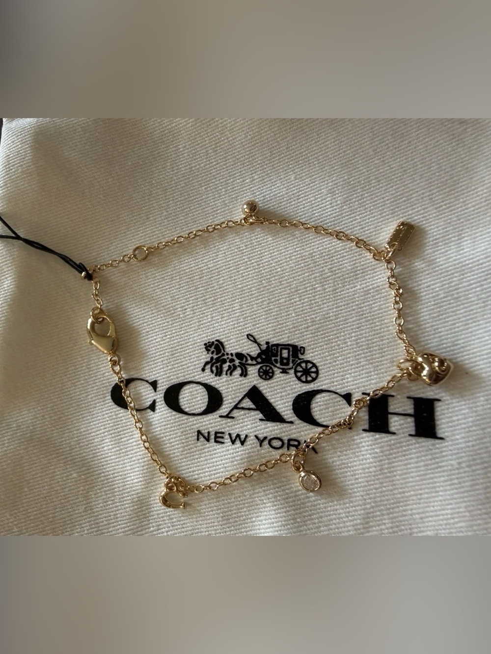 COACH Gold-Tone Charm Bracelet Heart Horseshoe Crystal NWT